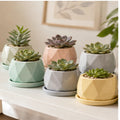 Cozy Haven Ceramic Succulent Planters Set lifestyle image 1 for 6-Piece Ceramic Succulent Planter Set