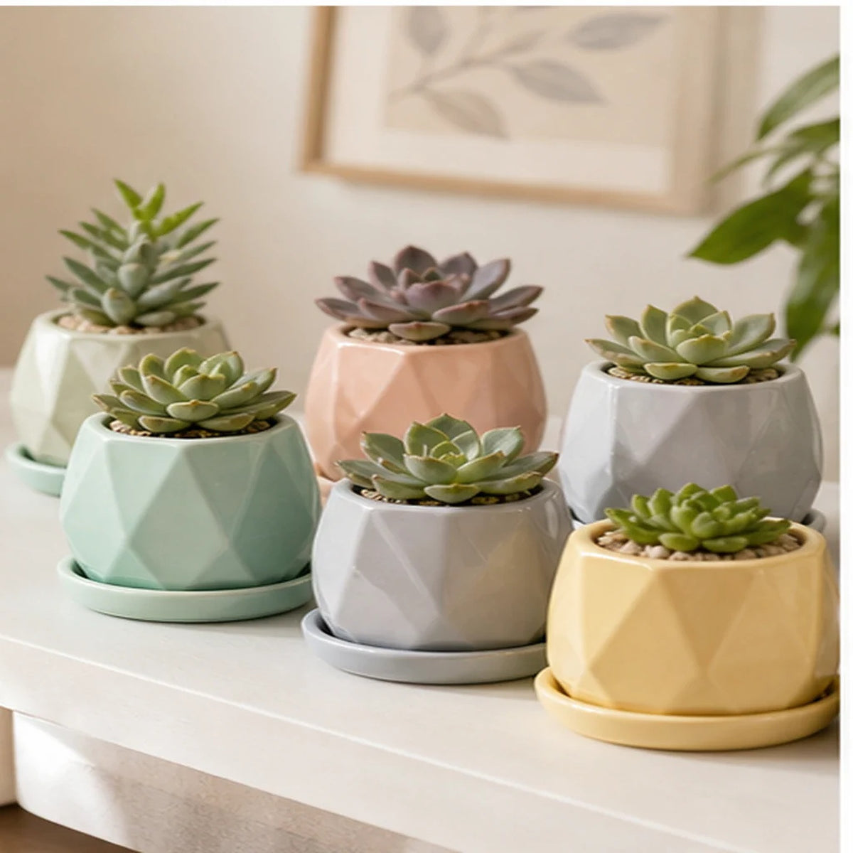 Cozy Haven Ceramic Succulent Planters Set styled in a home setting