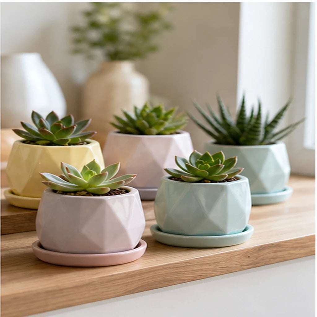 Cozy Haven Ceramic Succulent Planters Set lifestyle image 2
