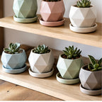 Cozy Haven Ceramic Succulent Planters Set styled home view 3