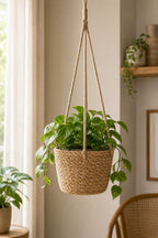 Beige jute rope macrame hanging planter basket by a window