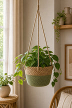 Green jute rope macrame hanging planter basket with leafy plant