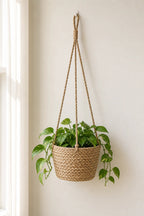 Cozy Haven Woven Hanging Plant Basket hanging with greenery in a calm home setting