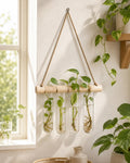 Cozy Haven Glass Tube Hanging Plant Propagation Station lifestyle image 1 for Light Wood Single Row