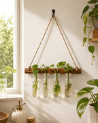Cozy Haven Glass Tube Hanging Plant Propagation Station styled home view 2 for Dark Wood Single Row