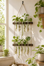 Cozy Haven Glass Tube Hanging Plant Propagation Station styled home view 3 for Dark Wood Double Tier