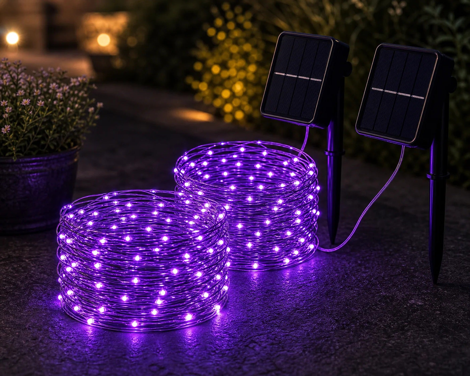 Cozy Haven Fairy Solar String Lights lifestyle image 11 for Purple / 2 Pack