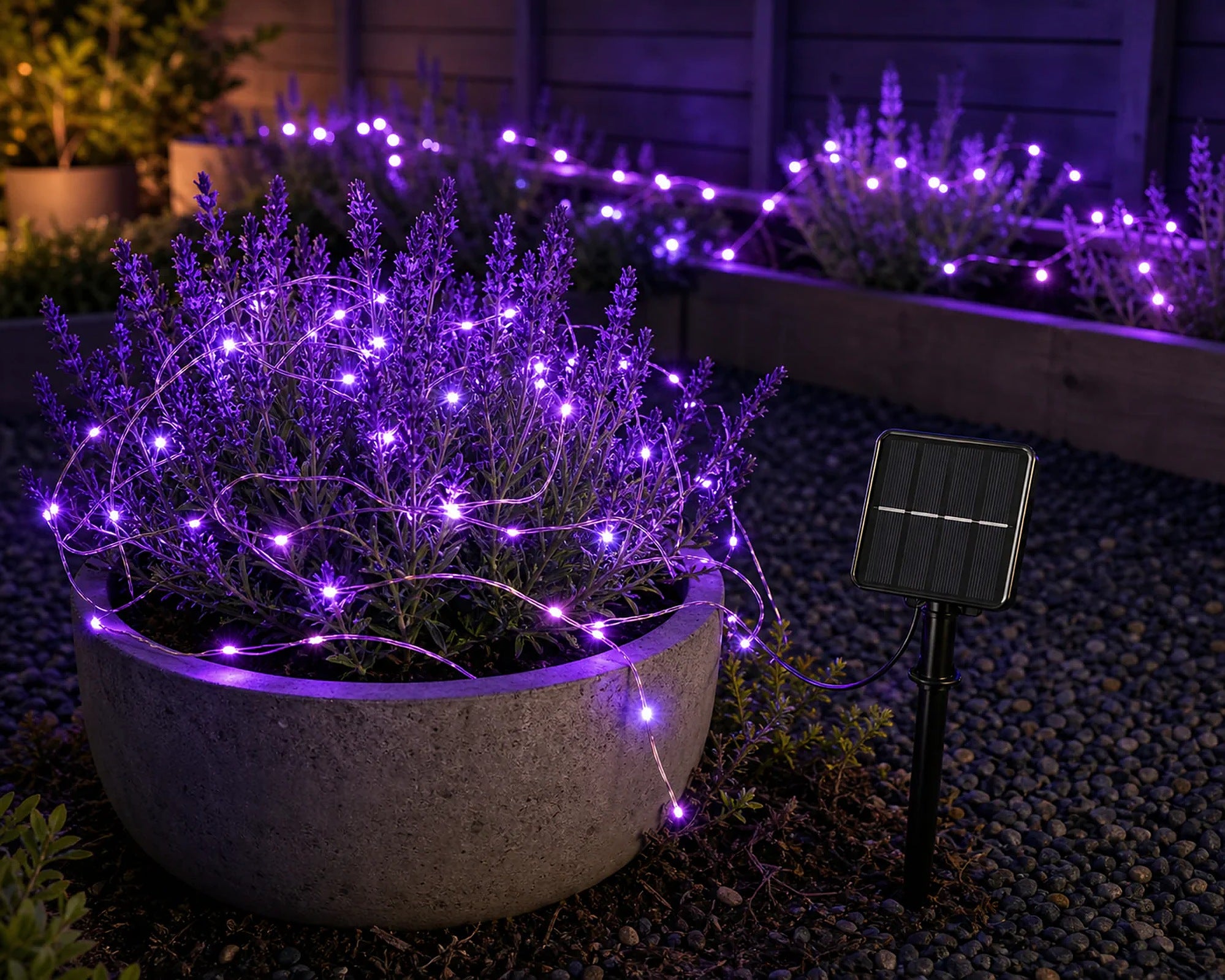 Cozy Haven Fairy Solar String Lights lifestyle image 4 for Purple / 1 Pack