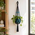 Cozy Haven Macrame Plant Hanger - black 50 cm macrame plant hanger in a sunlit wall setting