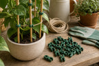 Cozy Haven Trellis Connector Clips styled home view 10 for 20-Piece Set / 11 mm