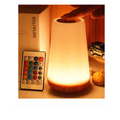 Cozy Haven Color Changing Night Light - RGB Remote Control Touch Dimmable USB Rechargeable Bedside Lamp supplier reference 13 Color Night Light