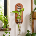 Cozy Haven Boho Hanging Plant Propagation Station lifestyle image 1 for Rectangle