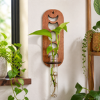 Cozy Haven Boho Hanging Plant Propagation Station styled home view 1 for Rectangle
