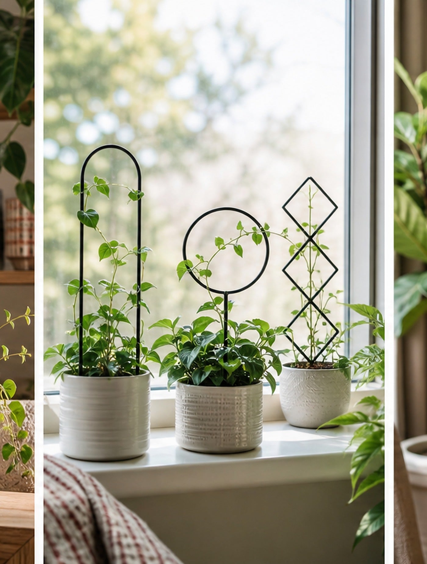 Cozy Haven Black Indoor Plant Trellis Set lifestyle image 2