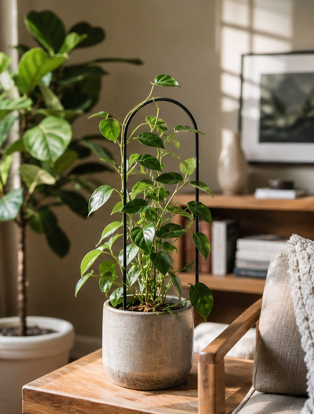 Cozy Haven Black Indoor Plant Trellis Set lifestyle image 3