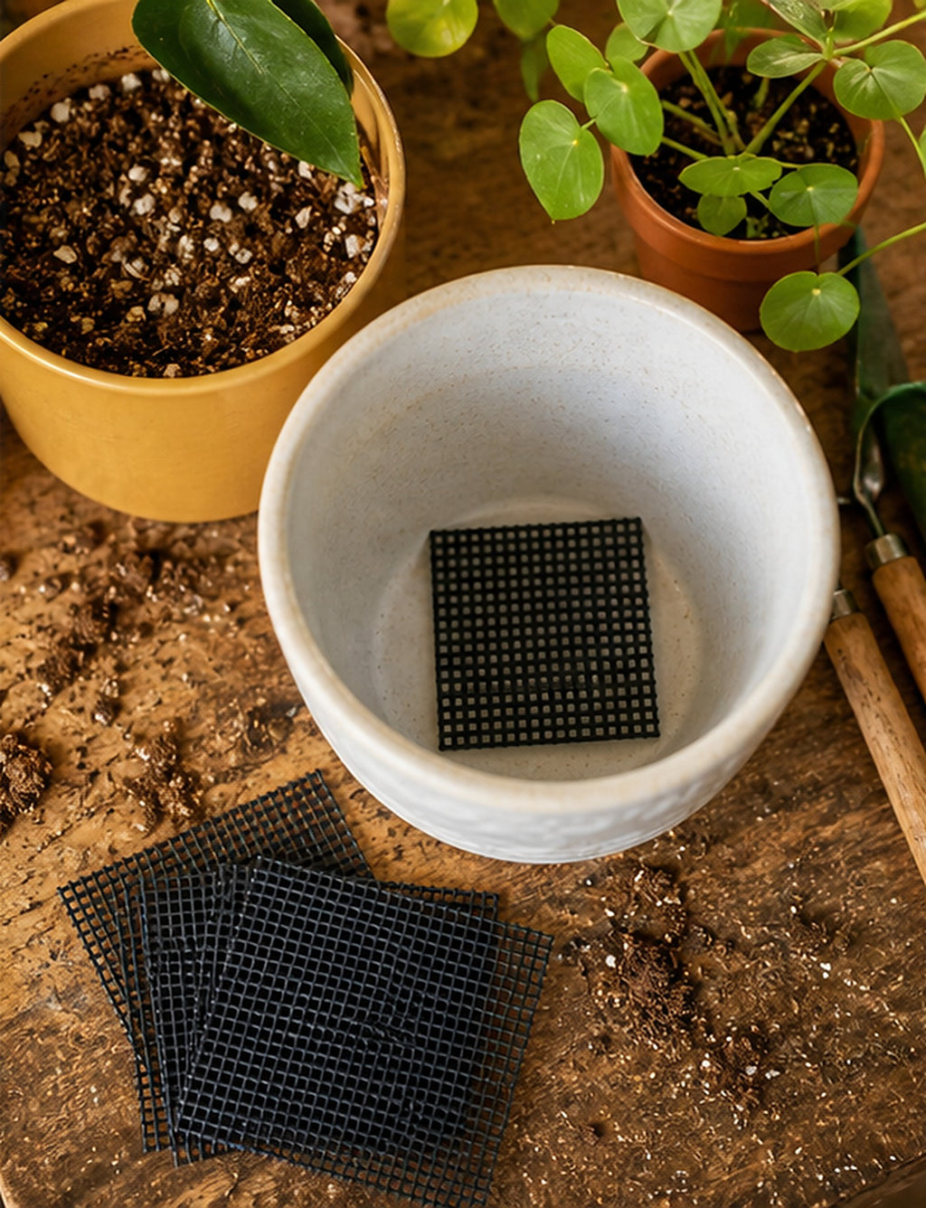 Cozy Haven Plant Pot Drainage Mesh Pads - 10 Piece Set lifestyle image 2