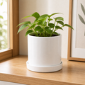 Cozy Haven Ceramic Planter with Tray Set lifestyle image 1 for White