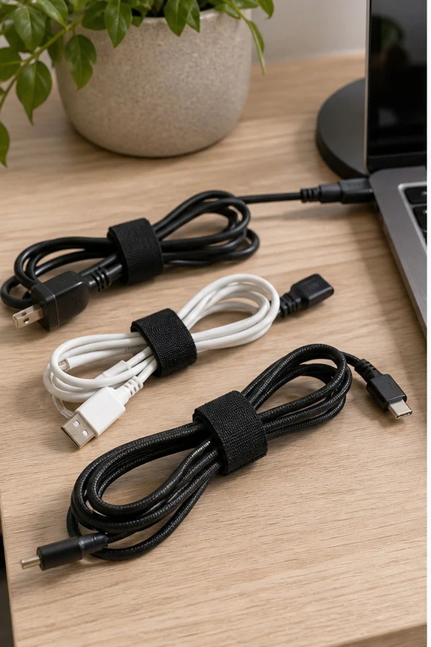 Cozy Haven Black Cord Organizer Straps lifestyle image 1