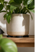 Cozy Haven Black Plant Pot Feet - 40 Piece Set lifestyle image 1 for Black - 40-Piece Set