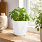 Cozy Haven Round Plant Pot with Tray styled kitchen view 2 for White / 11 cm