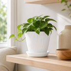 Cozy Haven Round Plant Pot with Tray styled kitchen view 3 for White / 13 cm