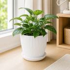 Cozy Haven Round Plant Pot with Tray styled kitchen view 4 for White / 15 cm