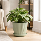 Cozy Haven Round Plant Pot with Tray styled kitchen view 9 for Green / 15 cm