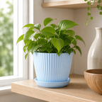 Cozy Haven Round Plant Pot with Tray styled kitchen view 13 for Blue / 13 cm