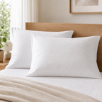 Cozy Haven Solid Pillowcases - White - 2 Piece Set