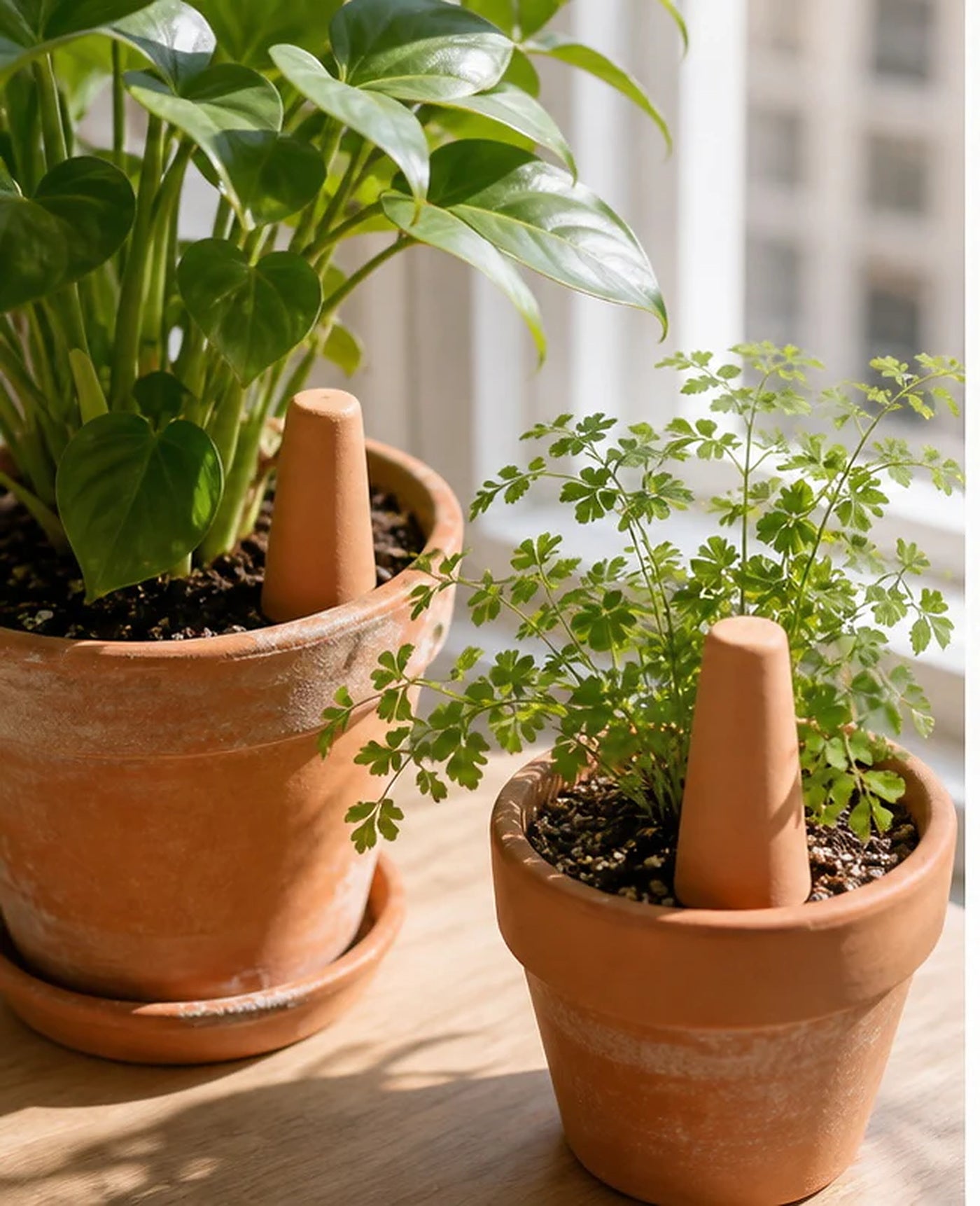 Cozy Haven Terracotta Plant Watering Spikes - 2 Piece Set lifestyle image 1 for Terracotta - 2-Piece Set