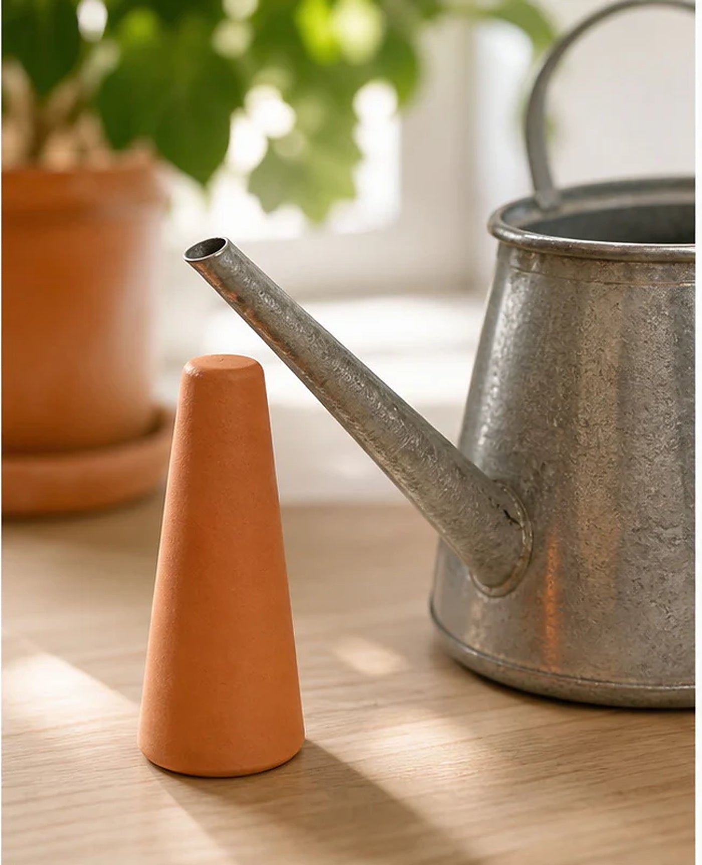 Cozy Haven Terracotta Plant Watering Spikes - 2 Piece Set lifestyle image 2
