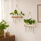 Cozy Haven Glass Tube Hanging Plant Propagation Station styled home view 5 for Light Wood Double Tier