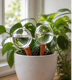 Cozy Haven Glass Plant Watering Globes - 2-Piece Set styled home view 1 for Clear Glass - 2-Piece Set