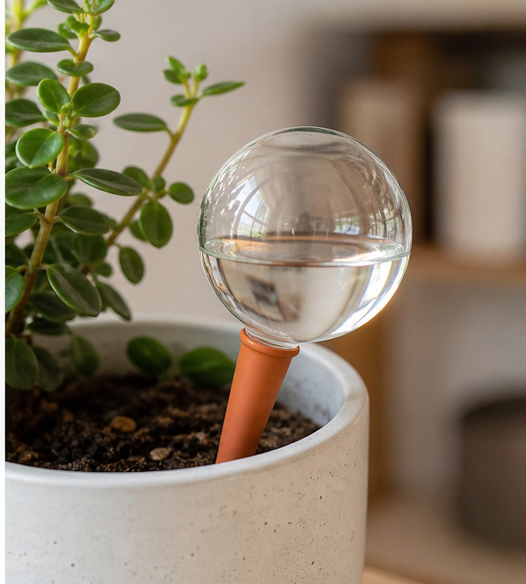 Cozy Haven Glass Plant Watering Globes - 2-Piece Set lifestyle image 3