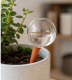 Cozy Haven Glass Plant Watering Globes - 2-Piece Set styled home view 3