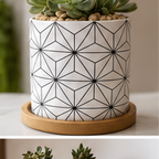 Cozy Haven Ceramic Succulent Planters Set - 6 Pack Modern Geometric Desktop Plant Pots - Kitchen - 3 - Cozy Haven product photo