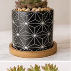 Cozy Haven Ceramic Succulent Planters Set - 6 Pack Modern Geometric Desktop Plant Pots - Kitchen - Cozy Haven product photo