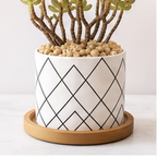 Cozy Haven Ceramic Succulent Planters Set - 6 Pack Modern Geometric Desktop Plant Pots - Kitchen - 7 - Cozy Haven product photo
