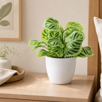Cozy Haven Artificial Bonsai Flower Foliage Plant Potted Home Li - Cozy Haven lifestyle image