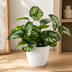 Cozy Haven Artificial Bonsai Flower Foliage Plant Potted Home Li - Cozy Haven lifestyle image