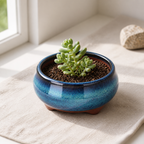 Cozy Haven Ceramic Garden Planter Pots Round Succulent Orchid Fl - Cozy Haven lifestyle image