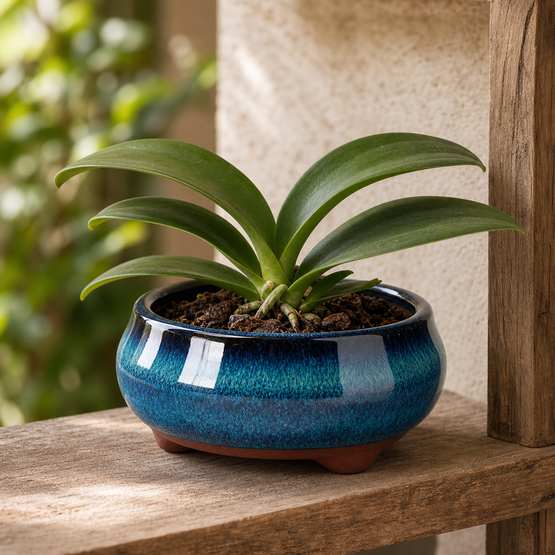 Round Ceramic Garden Planter Pot