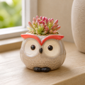 Cozy Haven Ceramic Owl Flower Pot Garden Office Decoration Succu - Cozy Haven lifestyle image