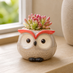 Cozy Haven Ceramic Owl Flower Pot Garden Office Decoration Succu - Cozy Haven lifestyle image