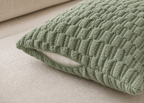 Cozy Haven Spring Sage Green Decorative Throw Pillow Covers Soft - Cozy Haven lifestyle image