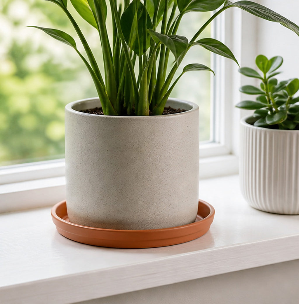 Cozy Haven Terracotta Plant Saucer Tray lifestyle image 2