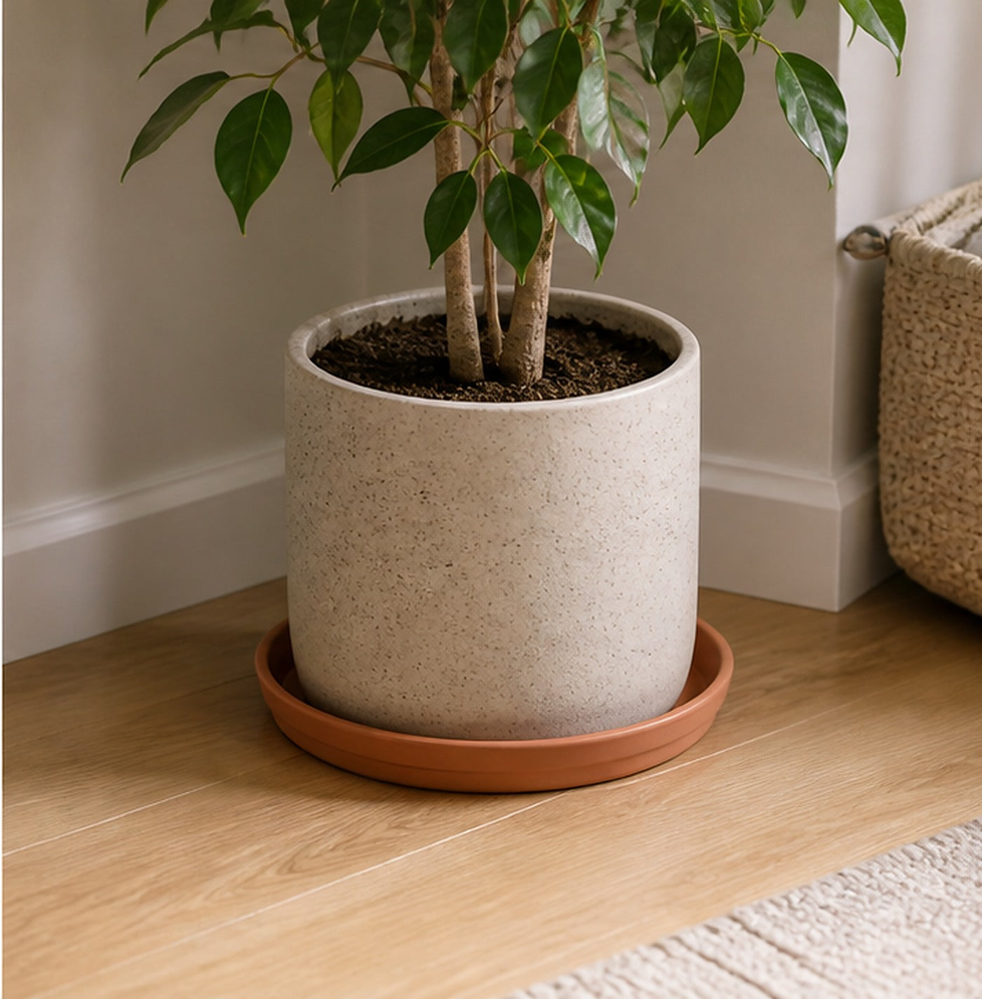 Cozy Haven Terracotta Plant Saucer Tray lifestyle image 3