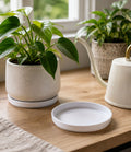 Cozy Haven White Plant Saucer Set lifestyle image 1 for White - 10-Piece Set