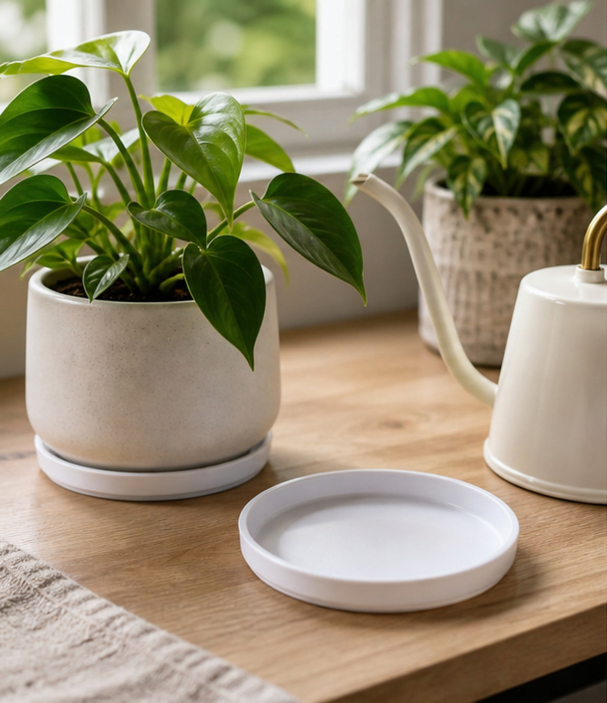 Cozy Haven White Plant Saucer Set styled in a home setting