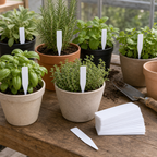 Cozy Haven Straight Plant Labels - 100 Piece Set styled home view 2 for White / 5 x 1 cm - 100 Piece Set; White / 10 x 2 cm - 100 Piece Set